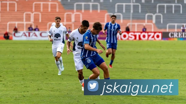 米兰app登录入口APP 封面图